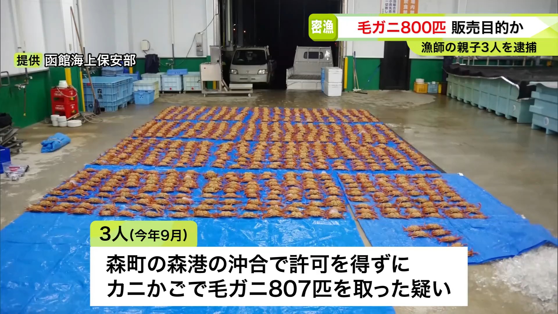 押収された毛ガニ（提供：函館海上保安部）