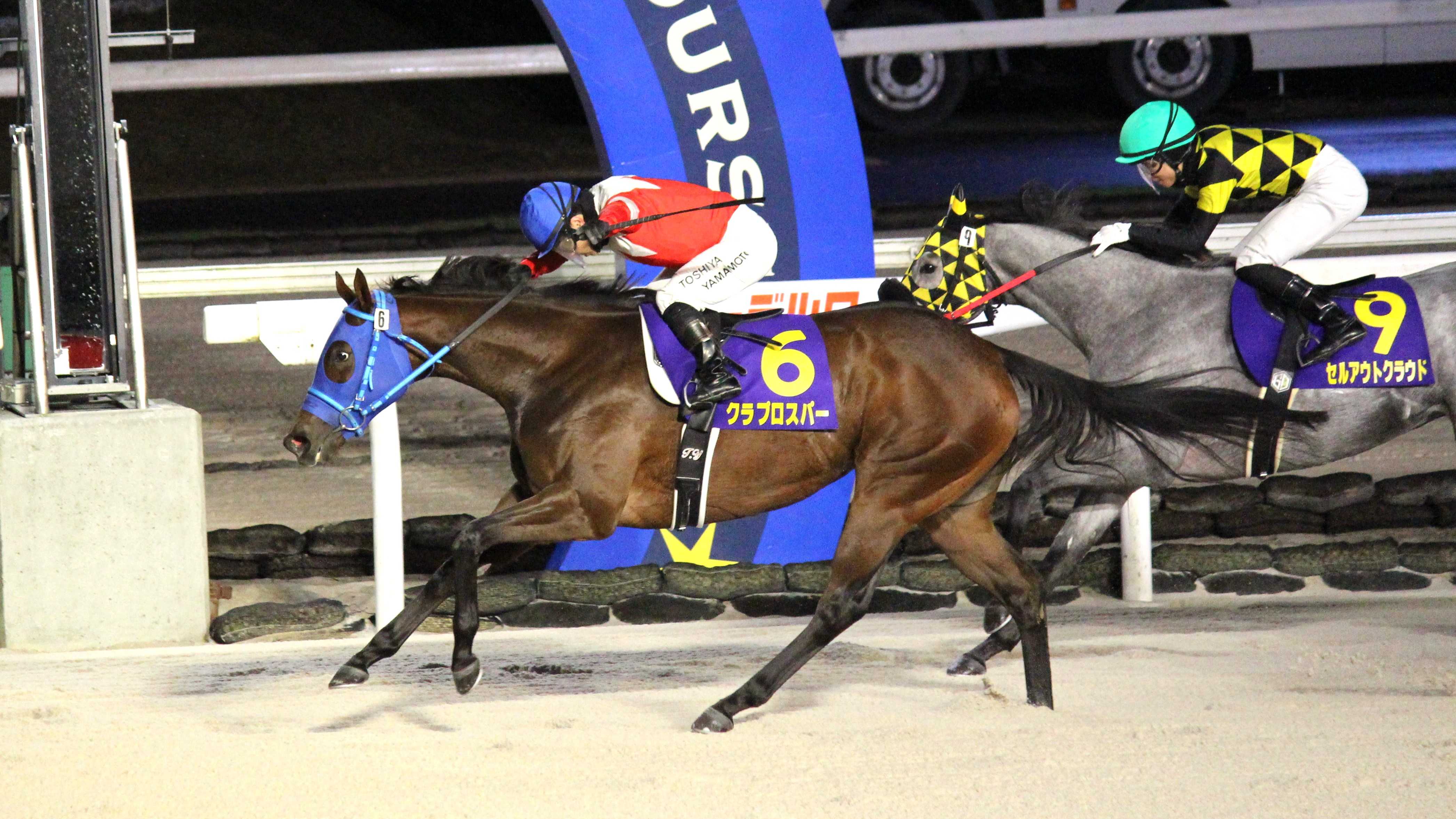 【ホッカイドウ競馬】「厩舎の皆さんが究極の仕上げで仕上げてくださった」7番人気クラプロスパーがエーデルワイス賞制覇