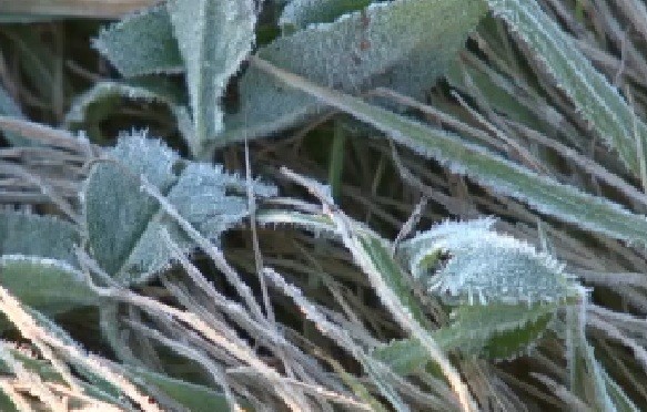28日の雪を降らせた強い寒気が上空に居座るなどした影響