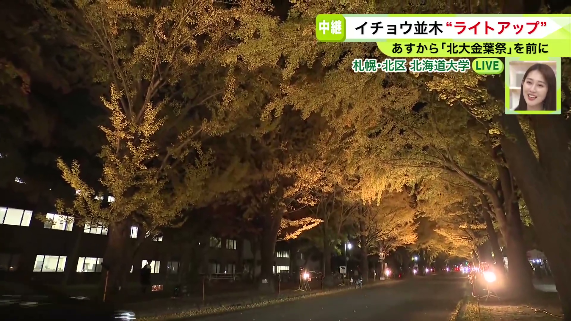 今夜、特別に試験的なライトアップ!