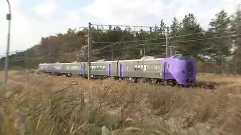 特急サロベツ(資料)