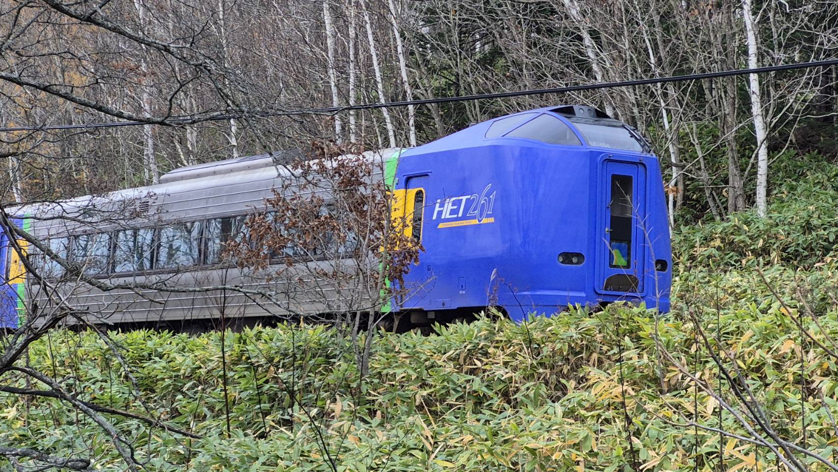 クマと衝突し脱線した特急サロベツ3号