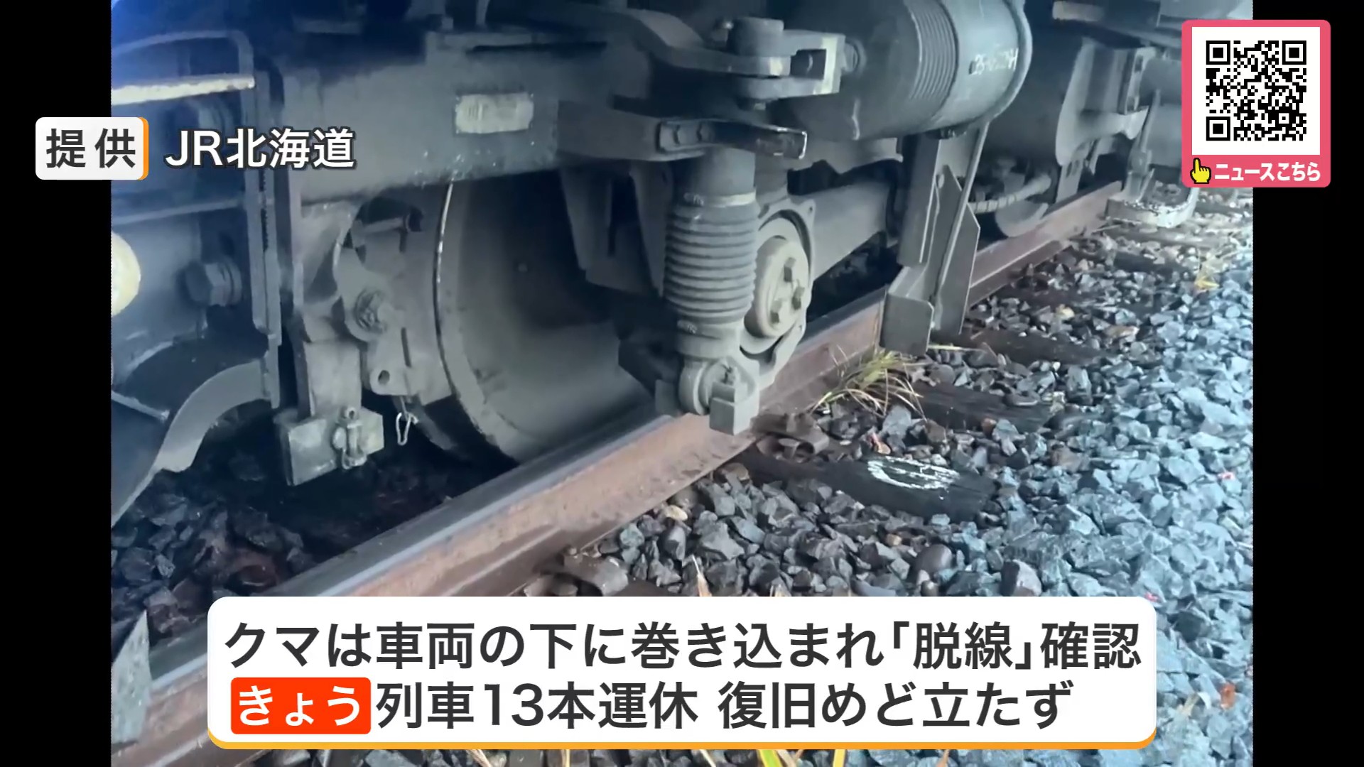 クマを車体の下に巻き込み、先頭車両が脱線
