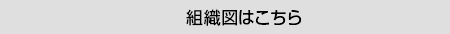 組織図はこちら