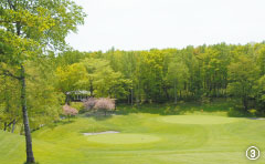 HOLE No.5 387ヤード　PAR4